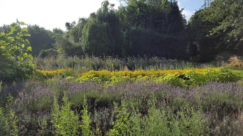 Bloemenboerderij Aperloo Panzió Kültér fotó