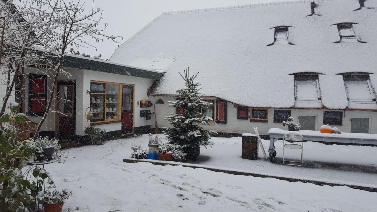 Bloemenboerderij Aperloo Panzió Kültér fotó